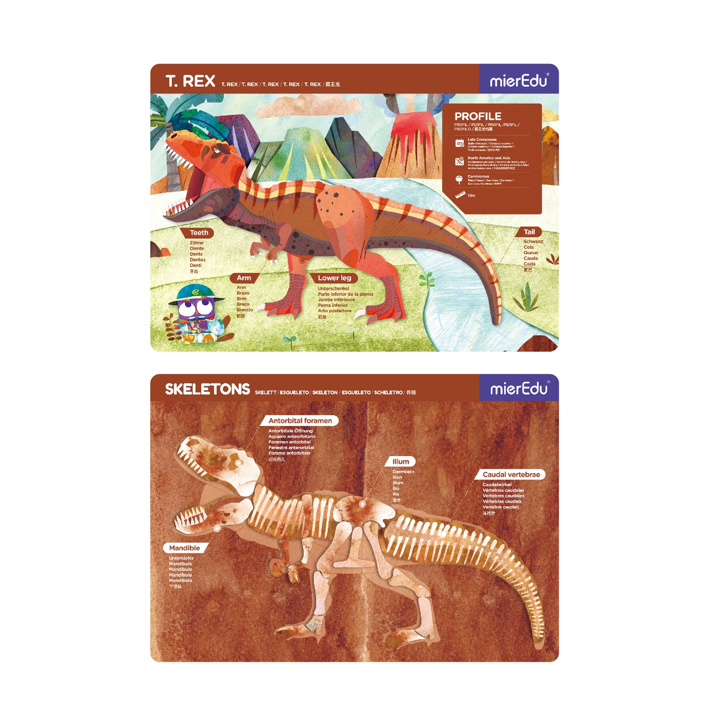 Magnetic Pad - T Rex