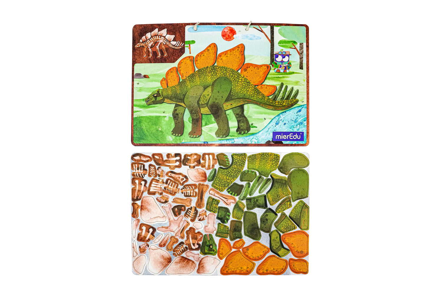 Magnetic Pad - Stegosaurus