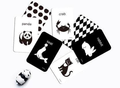 Cognitive Flash Card – Black & White